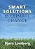 Smart Solutions to Climate Change: Comparing Costs and Benefits