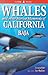 Whales and Other Marine Mammals of California and Baja