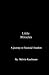 Little Miracles: A Journey To Financial Freedom
