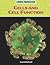 Cells and Cell Function (Living Processes)