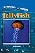 Jellyfish (Creatures of the Sea)