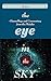 The Eye in the Sky: Channellings and Commentary from the Pleiades