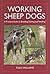 Working Sheep Dogs by Tully Williams