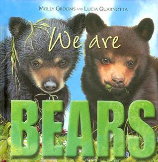 We Are Bears (Hardcover)