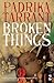 Broken Things (Salt Modern Fiction)