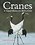 Cranes: A Natural History of a Bird in Crisis