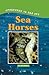 Sea Horse (Creatures of the Sea)