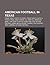 American Football in Texas: Friday Night Lights, Oil Bowl, Friday Night Lights: A Town, a Team, and a Dream, U.S. Army All-American Bowl