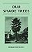 Our Shade Trees