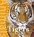 Tigers