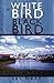 White Bird Black Bird by Val Wake