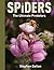 Spiders: The Ultimate Preda...