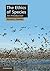 The Ethics of Species: An Introduction (Cambridge Applied Ethics)