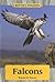 Falcons (Nature's Predators)