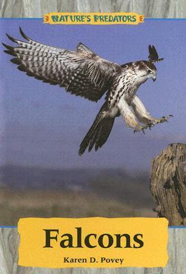 Falcons (Nature's Predators)