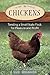 Chickens: Tending A Small-S...