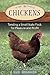 Chickens: Tending A Small-Scale Flock For Pleasure And Profit (Hobby Farm)