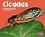 Cicadas (Pebble Plus)
