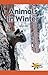 Animals in Winter (Rosen Real Readers)