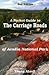 A Pocket Guide to Carriage Roads of Acadia National Park