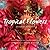 Tropical Flowers by Eileen W. Johnson