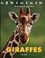 Giraffes: The Wild World of...