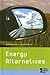 Energy Alternatives (Opposing Viewpoints)