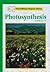 Photosynthesis (Kidhaven Science Library)