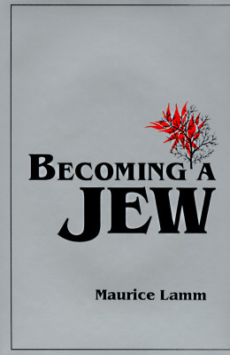 Becoming a Jew (Hardcover)