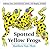 Spotted Yellow Frogs: Fold-...