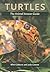 Turtles: The Animal Answer ...