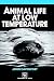 Animal Life at Low Temperature