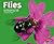Flies (Pebble Plus)