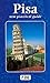 Pisa : Practical Guide