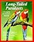 Long-Tailed Parakeets: How to Take Care of Them and Understand Them
