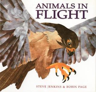 Animals in Flight (Hardcover)