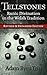 Tellstones: Runic Divination in the Welsh Tradition