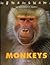 Monkeys: The Wild World of Animals