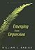 Emerging From Depression: Revised Edition