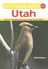 Backyard Birds of Utah Backyard Birds of Utah