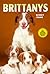 Brittanys