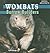 Wombats: Burrow Builders