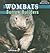 Wombats by Lynn George