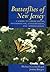 Butterflies of New Jersey: A Guide to Their Status, Distribution, and Appreciation