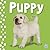 Touch and Feel - Puppy (Busy Baby)