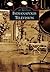 Indianapolis Television (Images of America: Indiana)
