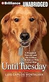 Until Tuesday by Luis Carlos Montalván