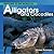 Welcome to the World of Alligators and Crocodiles (Welcome to the World Series)