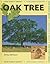 Oak Tree (How Does It Grow?)