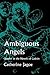 Ambiguous Angels by Catherine Jagoe